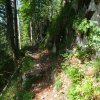 kenigzee 0051
